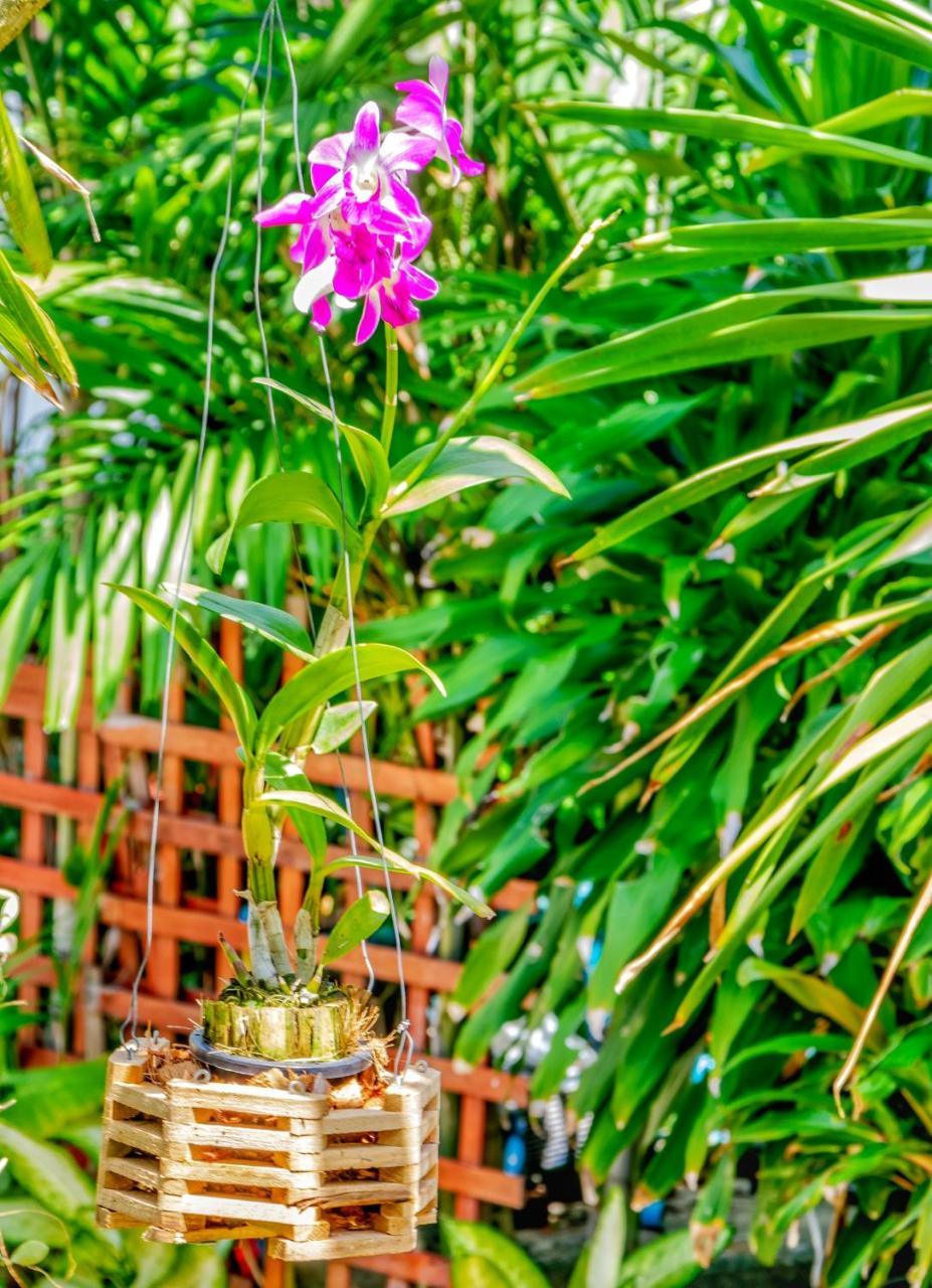 Kata Leaf Resort Phuket - Екстер'єр фото